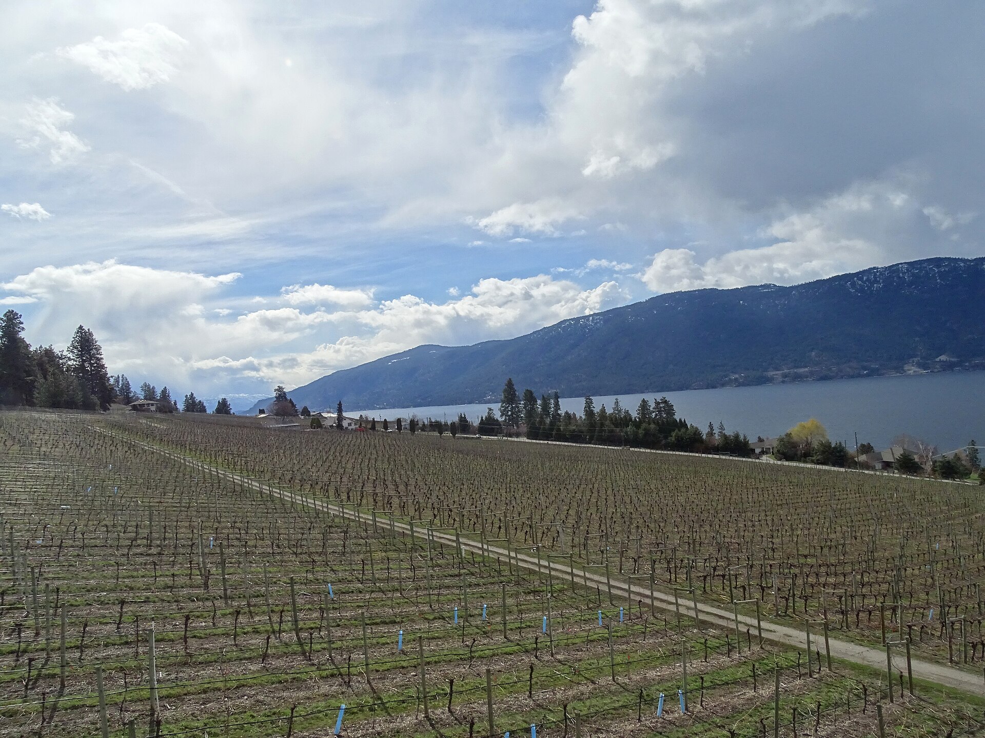 Okanagan Lake